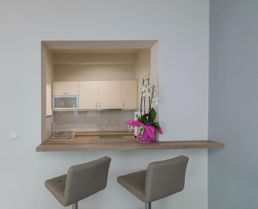 Apartment Renovated Panorama Loft: Terrace Gem *